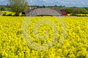 Farm house in the middle of farmland and fields, selective focuse