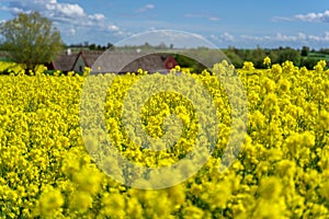 Farm house in the middle of farmland and fields, selective focuse