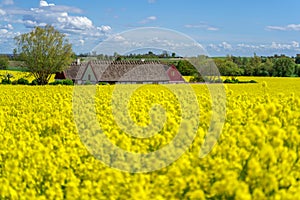 Farm house in the middle of farmland and fields, selective focuse