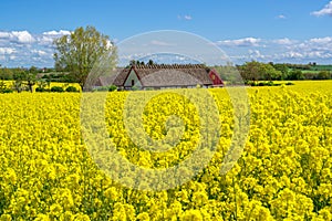 Farm house in the middle of farmland and fields, selective focuse