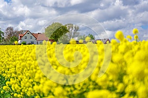 Farm house in the middle of farmland and fields, selective focuse
