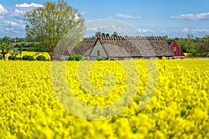 Farm house in the middle of farmland and fields, selective focuse