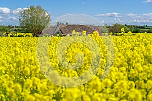 Farm house in the middle of farmland and fields, selective focuse