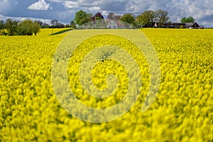 Farm house in the middle of farmland and fields, selective focuse