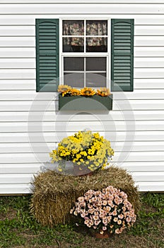 Farm House, New Jersey, Usa