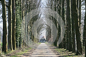 Farm-house between trees photo