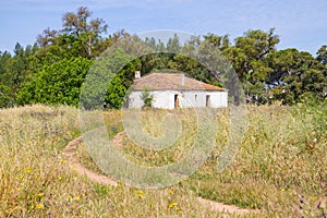 Farm house and trees in Vale Seco, Santiago do Cacem