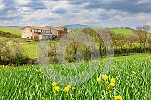 Farm house in Tuscany