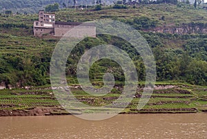 Farm house and vegetable garden along Yangtze River, China