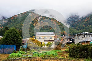 farm and houses near mountain with autumn color