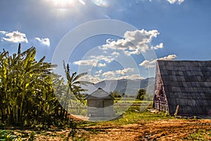 Farm houses in the tabac region of ViÃÂ±ales, Cuba photo