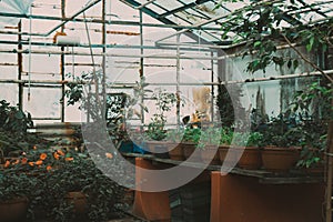 a farm inside the solar greenhouse