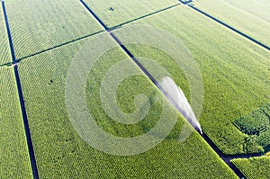 Farm Irrigation water aerial photo photo