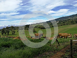 Rural landscape in Costa Rica photo