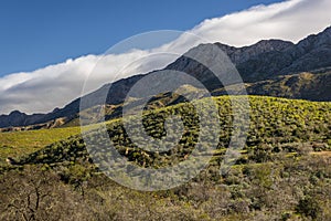 Farm in the Karoo with old rural houses and the swartberg mountains in south africa,