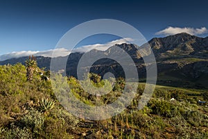 Farm in the Karoo with old rural houses and the swartberg mountains in south africa,
