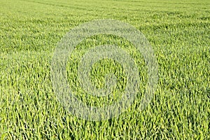 Farm land in Bavaria