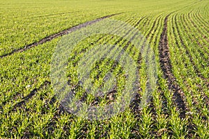 Farm land in Bavaria