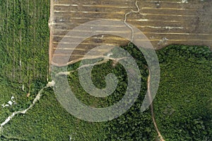 Farm land next to Jungle aerial survey