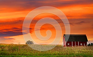 Farm Landscape