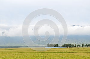 Farm Landscape