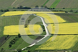 Farm Landscape from Above