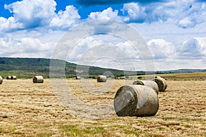 Farm landscape photo