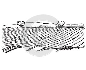 Farm landscape etch, agriculture scene