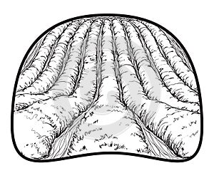 Farm landscape etch, agriculture scene