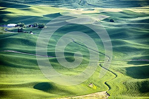 Farm Landscape In The Palouse