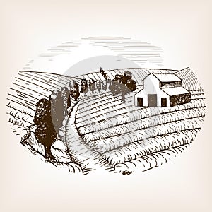 Farm landscape sketch style vector