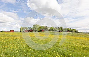 Farm Landscape in Sweden with typically red house