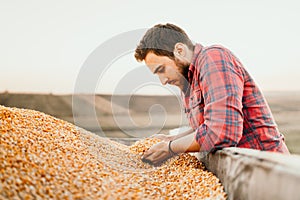 Farm male worker holding corn production in tractor trailer