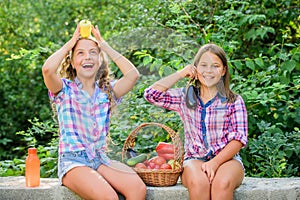 Farm market. Summer harvest concept. Natural harvest. Happy sisters garden. Selling homegrown food concept. Girls cute
