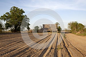 A farm, Mississippi