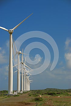 Farm modern wind harvest