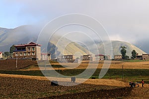 Farm in the morning of China