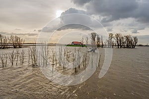 Farm on a mound in the middle of a flooded polder