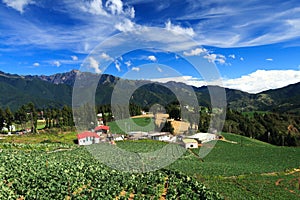 Farm in the mountains