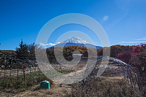 Farm with Mt.Fuji