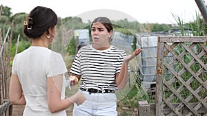 Farm neighbors quarrel over farm backyard in summer day