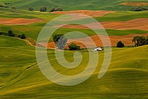 Farm Nestled In The Palouse Hills