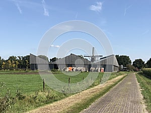 Farm with an old windmill