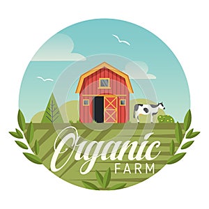 Farm organic agriculture, barn and cow on field