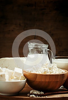 Farm organic dairy products: milk, yogurt, cream, cottage cheese