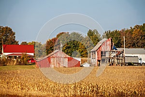 Farm and outbuildings and half fallen down barn with agricultural trucks in Autumn with cornfield in foreground