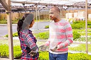 Farm owner gives instructions to the hired worker