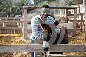 Farm owner taking care of donkey