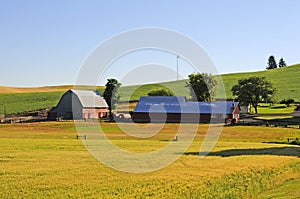 A farm in Palouse