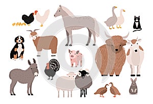 Farm pets colorful collection. Cute domestic animals set. Hand drawn vector illustration on white background.